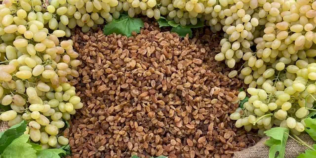 Çekirdeksiz ihracatta Türkiye 'en'leri yaşadı