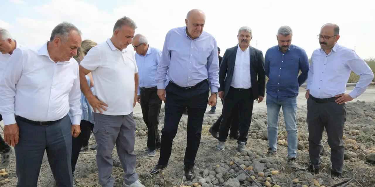 Konya Şeker’den yerli patates tohumu müjdesi... 2027’de dışa bağımlılık bitecek