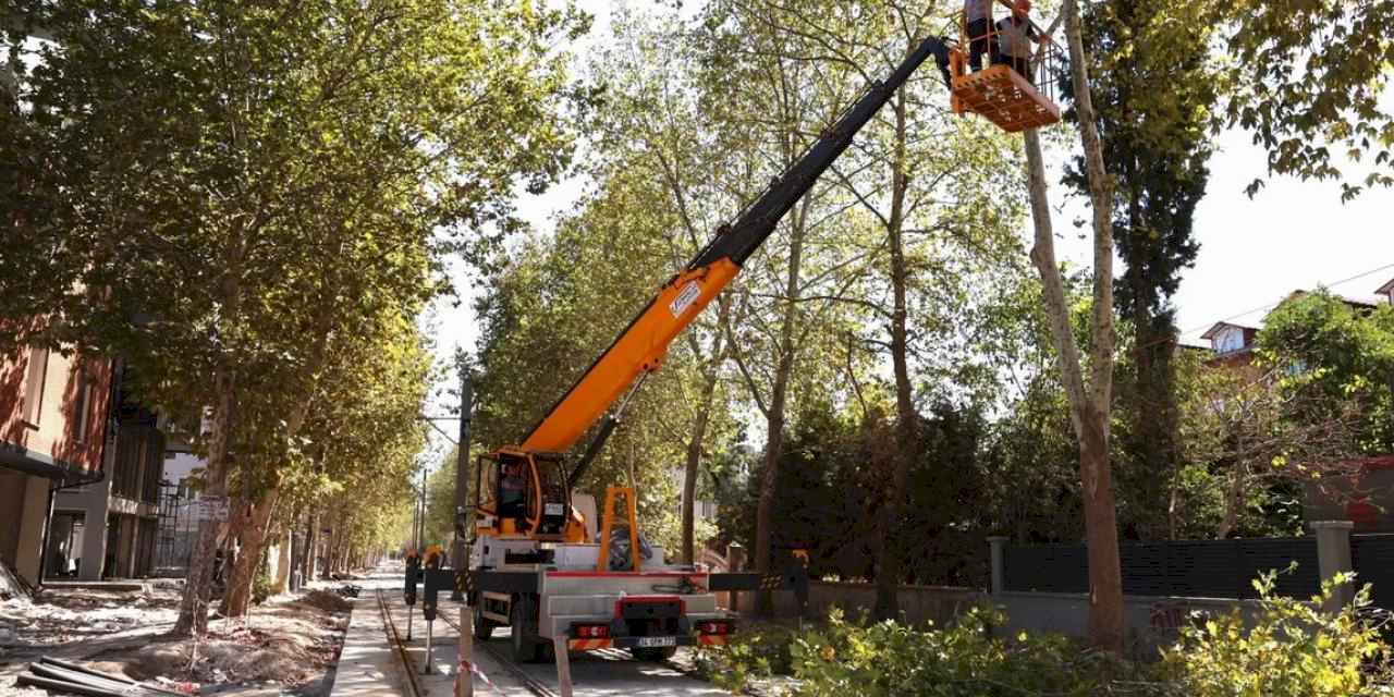 Alikahya Tramvay Hattı için ağaçlara itinalı budama