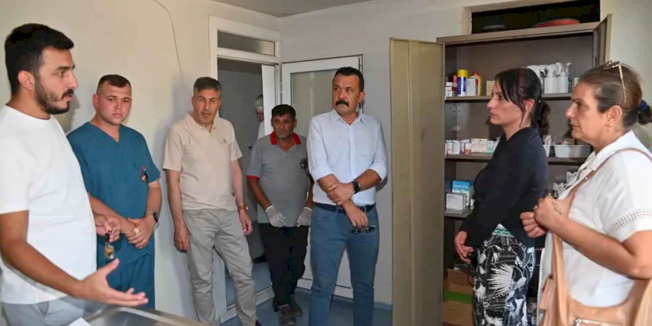 Manisa’da sokak hayvanları için yeni yaşam alanları oluşturuluyor