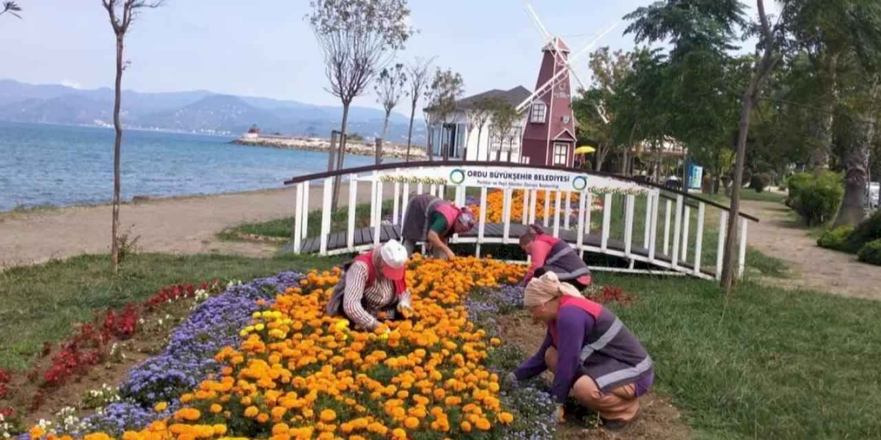 Ordu’da kent estetiğine Büyükşehir dokunuşu