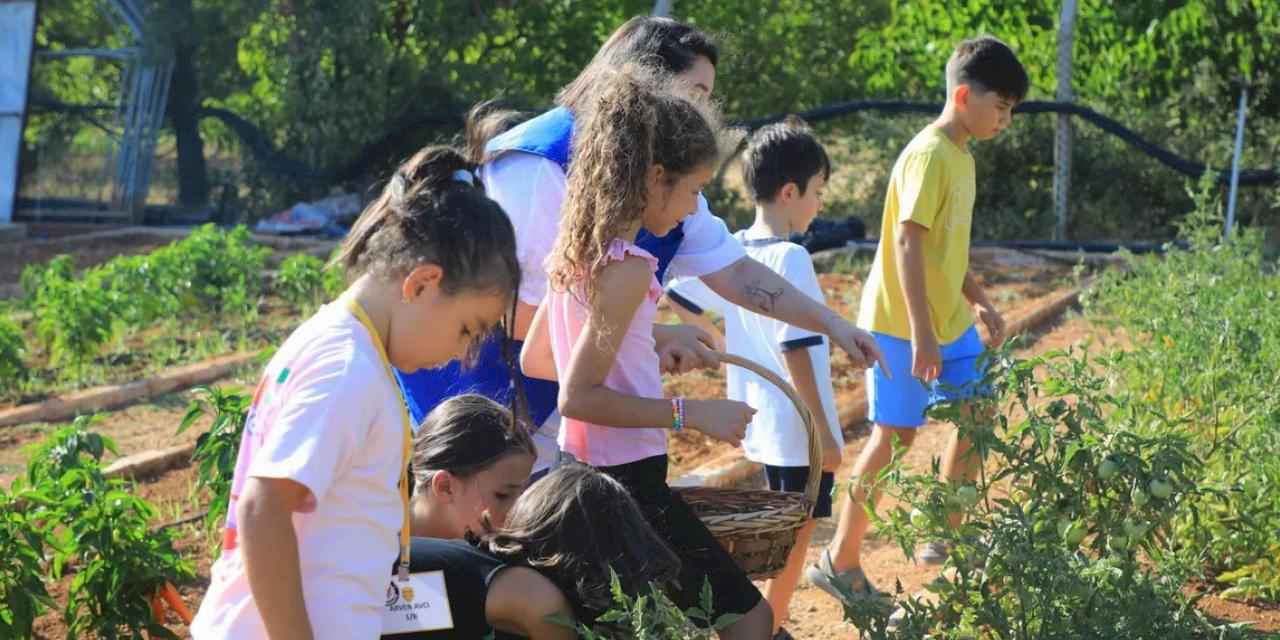 Muğla’da minik eller hasat sevinci yaşadı