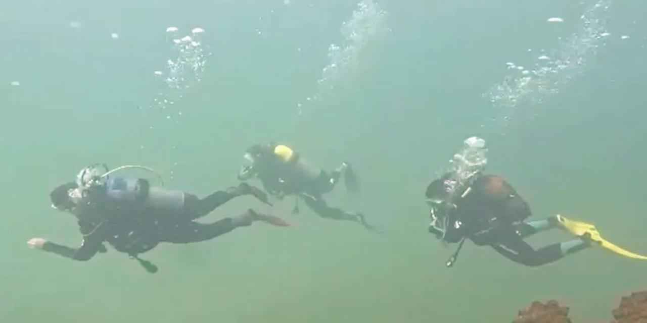 Van Gölü'nün zenginliğini keşfediyorlar