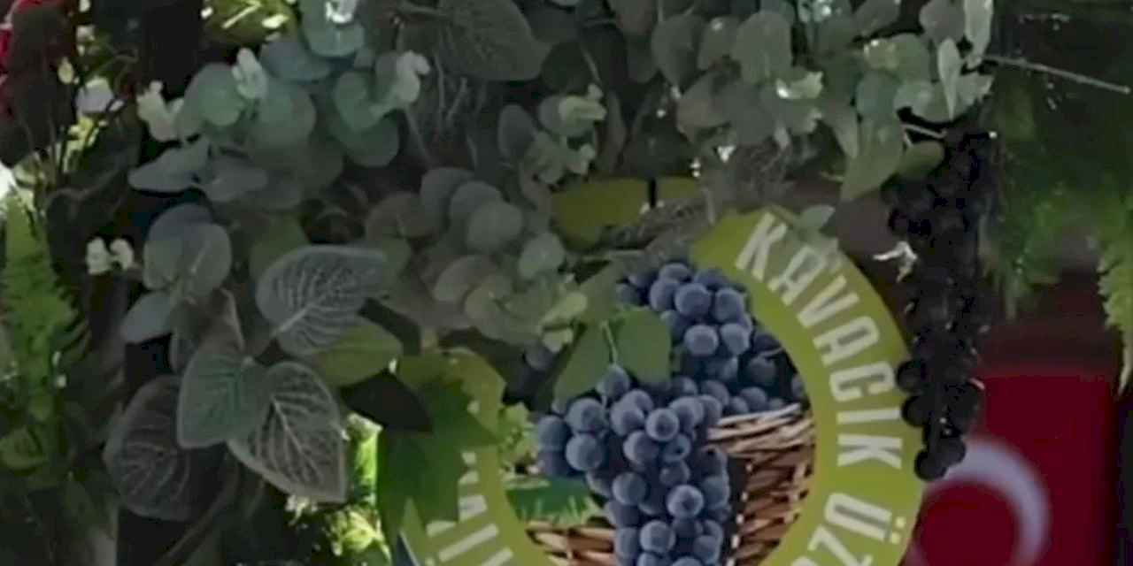 Karabağlar Kavacık'taki üzümle 13'üncü buluşma