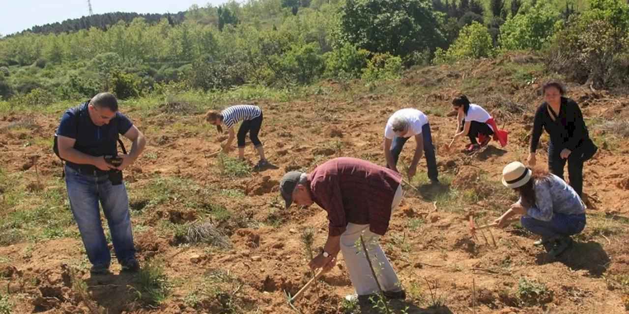 ÇEKÜL'den 'acele etmeyin' uyarısı! Yanan bölgelerde fidan dikimi için acele edilmemeli!