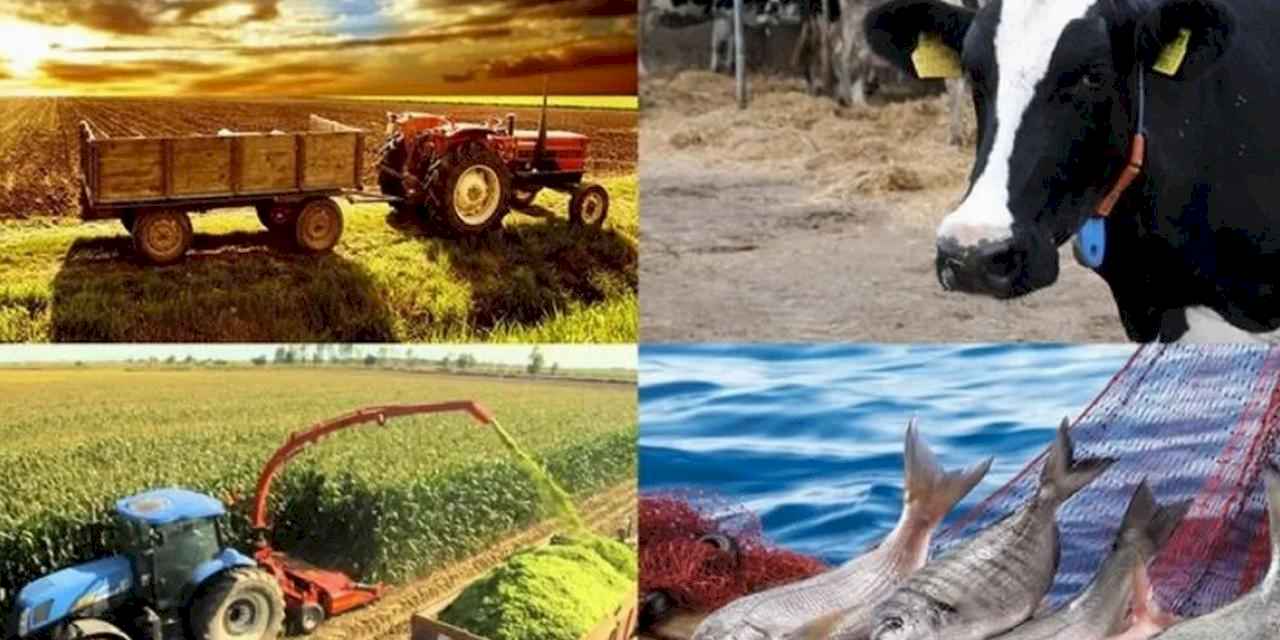 Hayvancılık destekleme miktarlarında artış! Çoban desteği ve aşı bedellleri de kapsamda