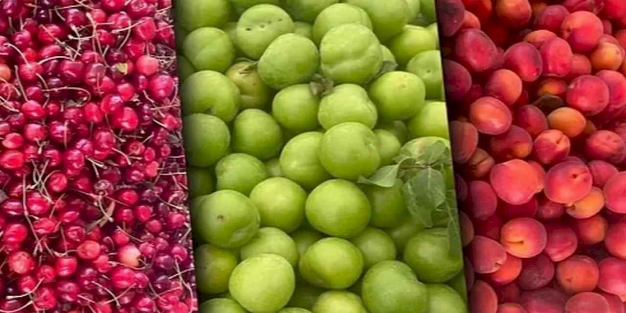 Tarım ÜFE aylık azaldı, yıllık arttı! En yüksek artış yumuşak ve sert çekirdekli meyvelerde