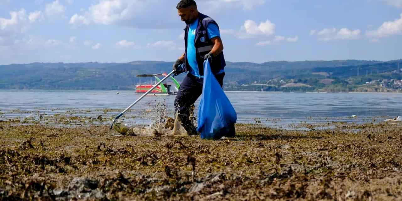 Sapanca çevresinden 2 ton çöp çıktı