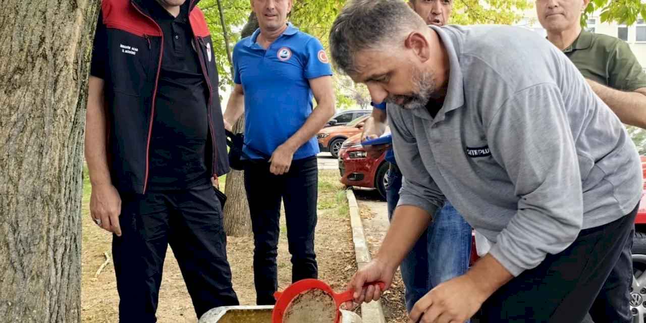 Bursa'nın su kaynaklarına 2,2 milyon sazan balığı bırakılacak