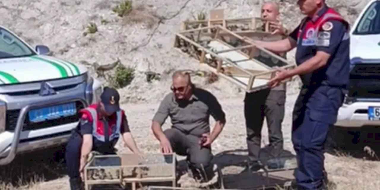 Gediz'de yasak ava 1 milyon ceza!