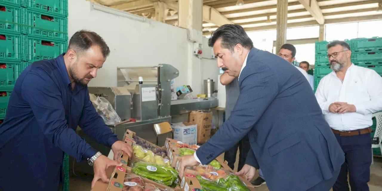 Bursa Yenişehir'in tarım ürünleri Libya yolunda... İlk numuneler gönderildi