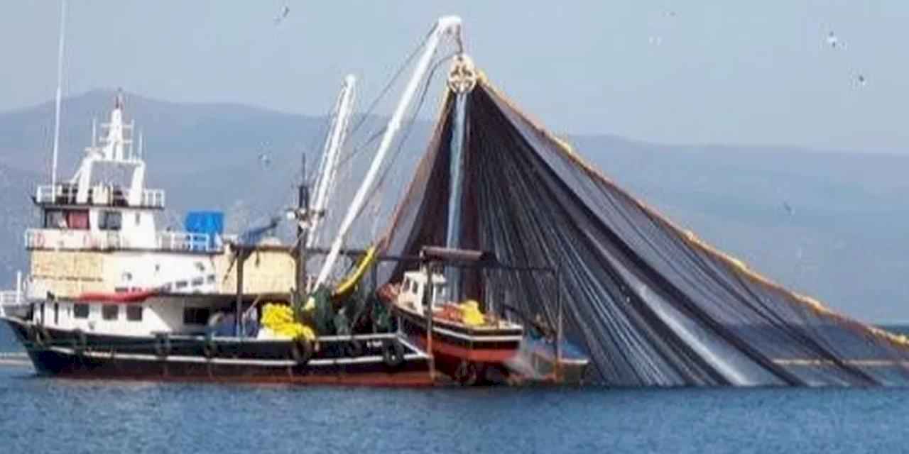 Balıkçılara dev destek! Balıkçılık gemi sayısı yüzde 65 arttı