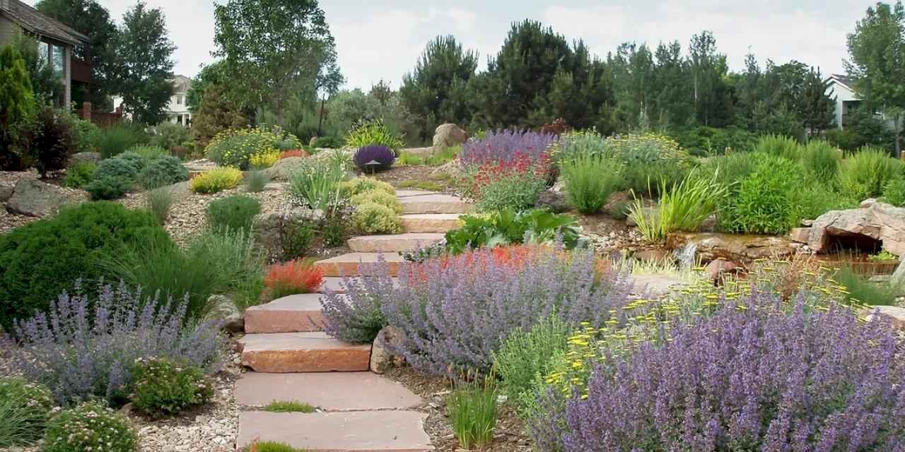 PEYZAJDER: Kuraklık peyzaj anlayışını değiştiriyor