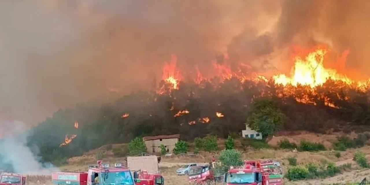 Orman gönüllüleri de 'şehit' statüsüne alındı