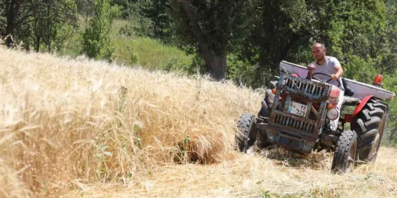 İstanbul’dan Ordu’ya uzanan çiftçilik hikayesi