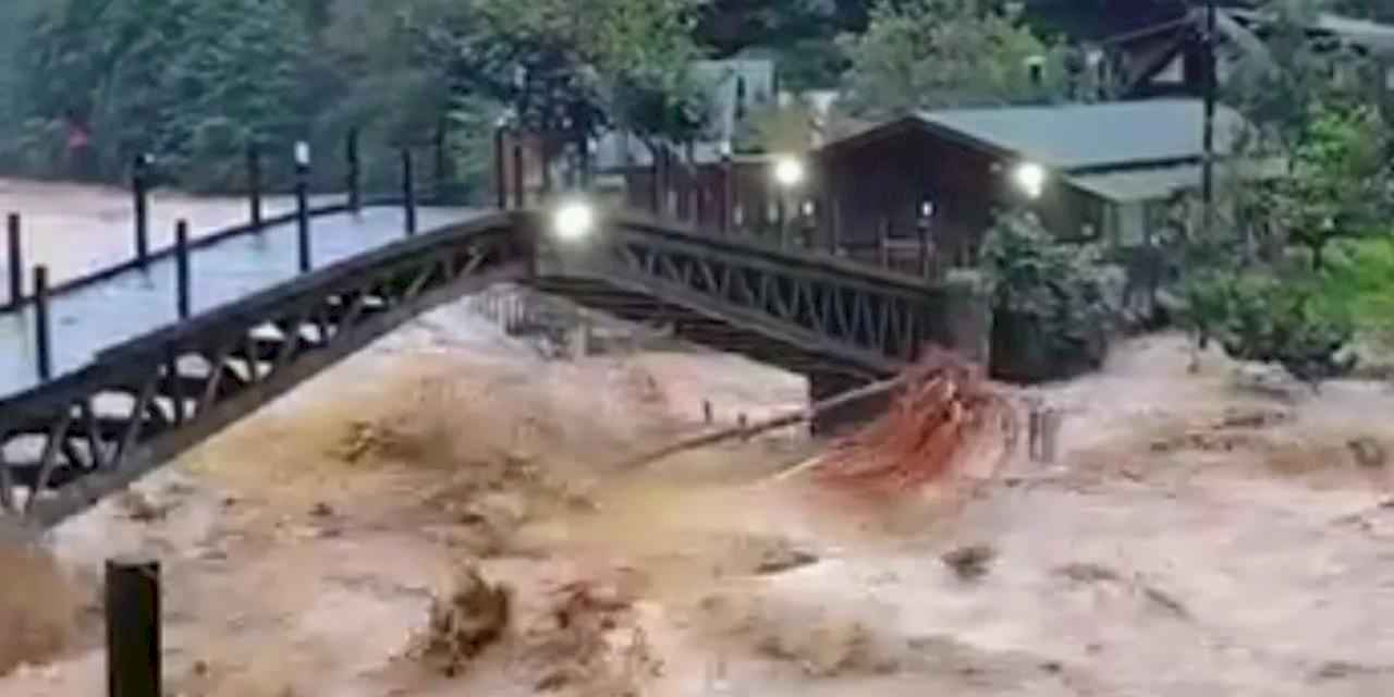 Artvin sele teslim oldu, 7 köye ulaşılamıyor