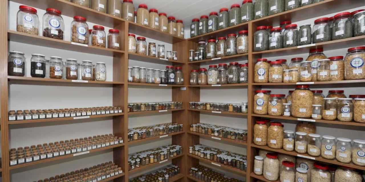 2026 yılında hedef 4 milyon yerel tohum