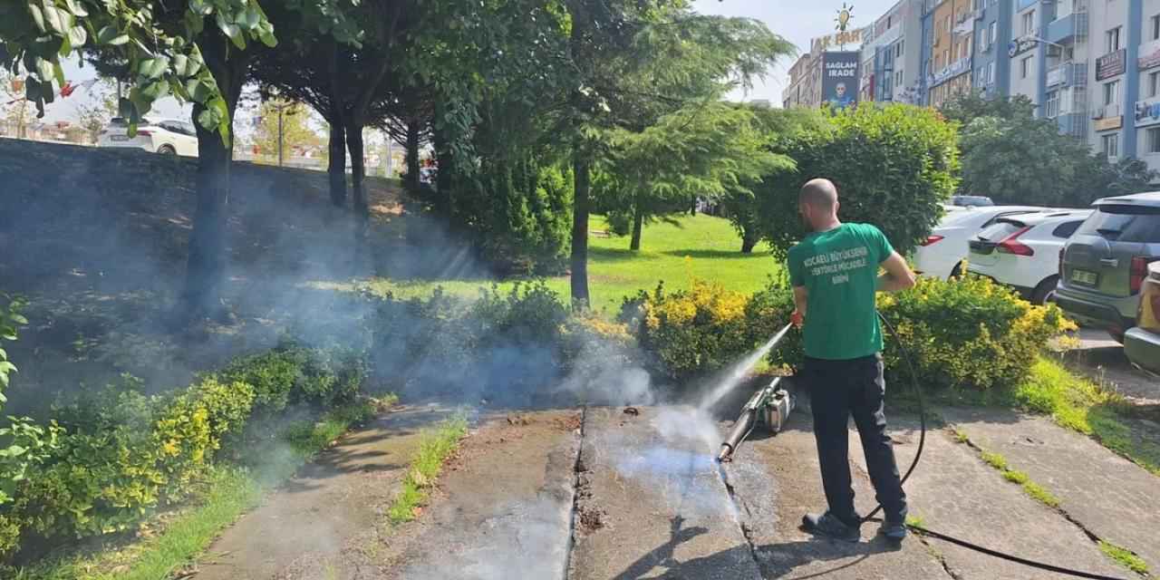 Kocaeli'de vektörle mücadeleye güçlü destek