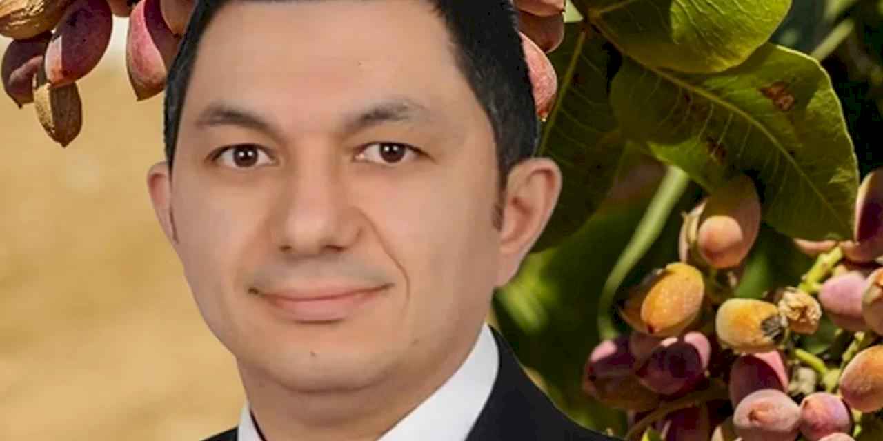 UKAB MYK Üyesi Büyükmurat: İthal fıstık çiftçiyi bitirir!