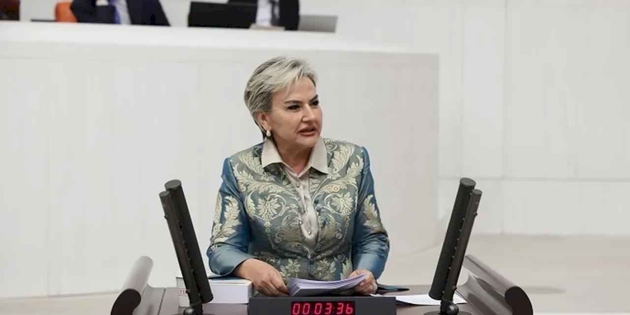 Milletvekili Özdemir öğrencilerin aç okula gitmesini TBMM'ye taşıdı