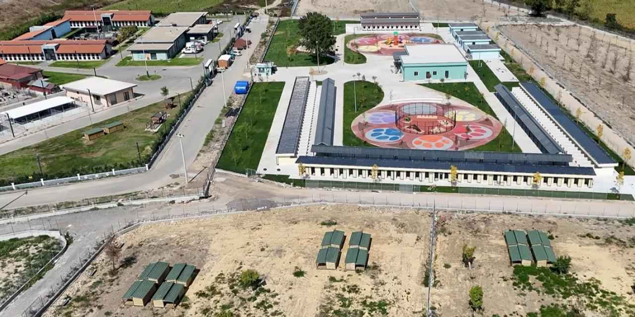 Sakarya’da sokak hayvanları için örnek çalışma