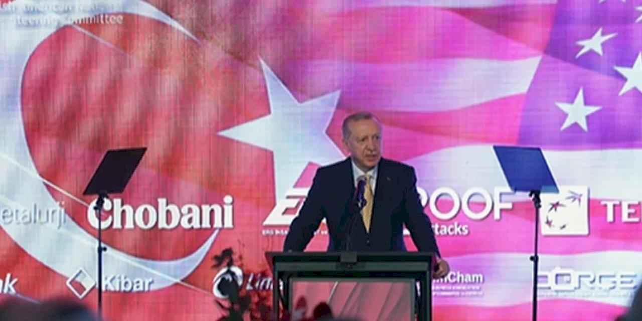 Cumhurbaşkanı Erdoğan'dan Türk diasporasına dayanışma ve aktif rol çağrısı