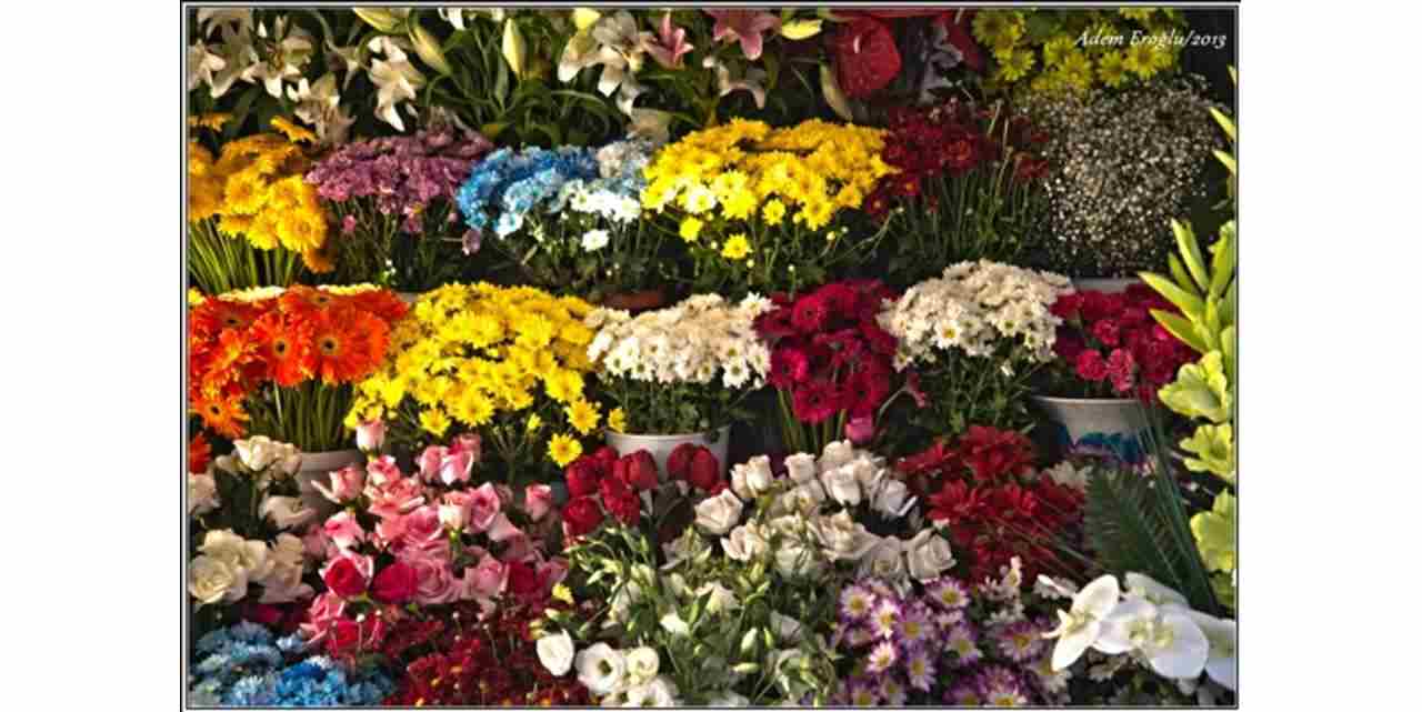 Çiçekçi Numarası ve Çiçekçi Telefonu