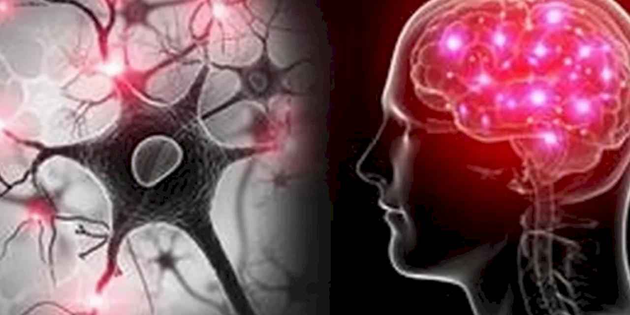 Yapay zekâ ve EEG ile otizm ve dislekside erken teşhis umudu