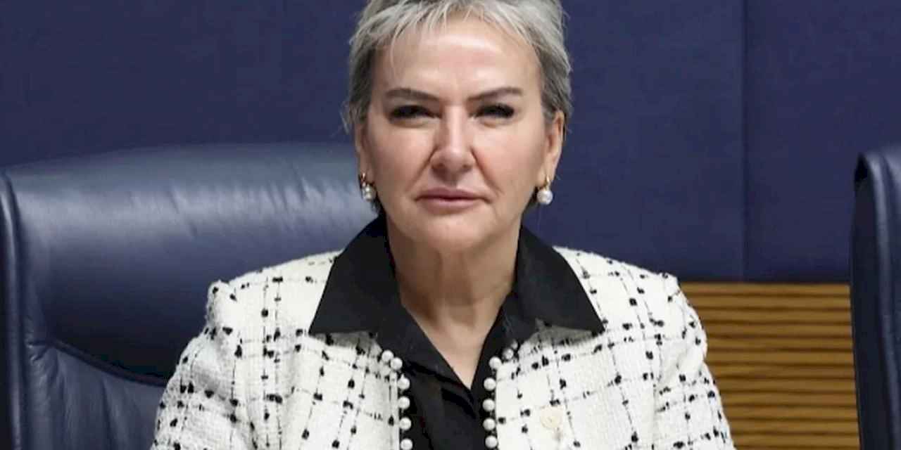 Milletvekili Özdemir 'kalıcı yaz saati'ni sordu