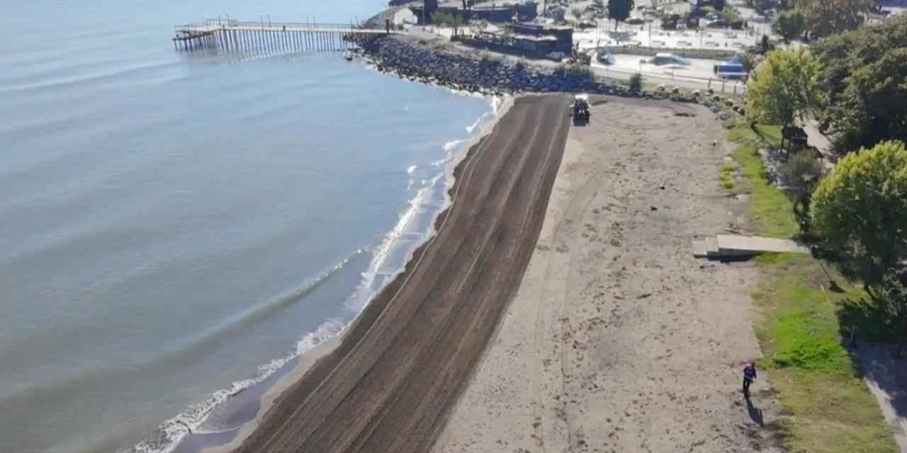 Ordu sahillerinde temizlik seferberliği