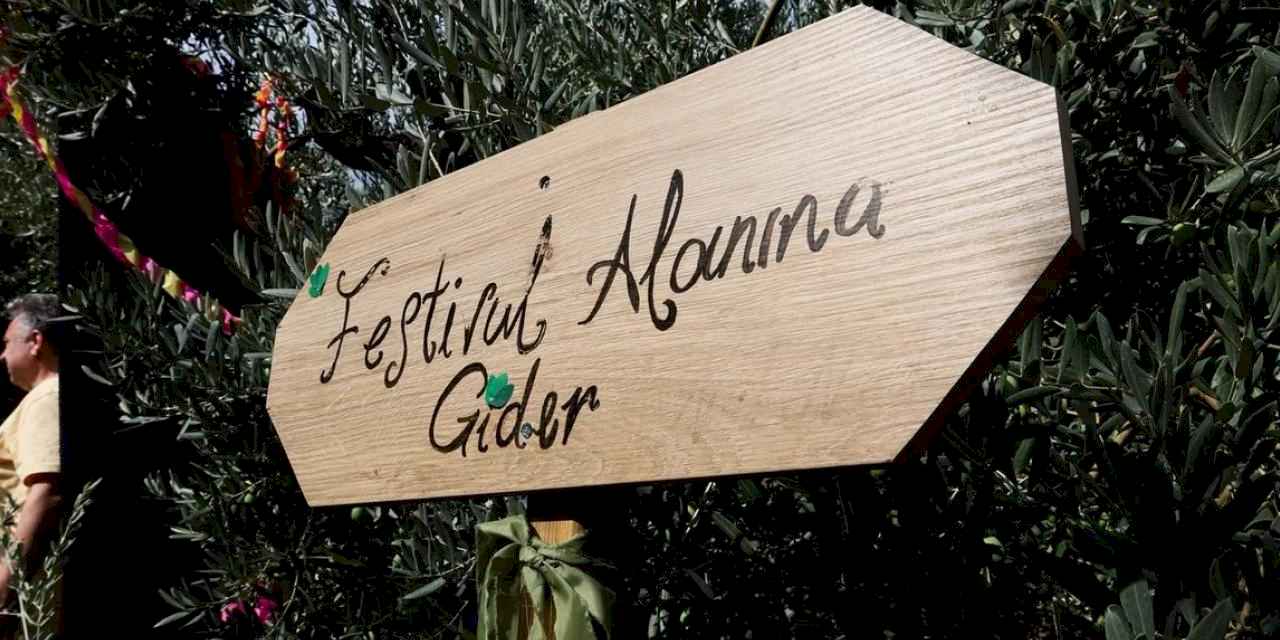 Bursa Gemlik Zeytini'nde uluslararası coşku