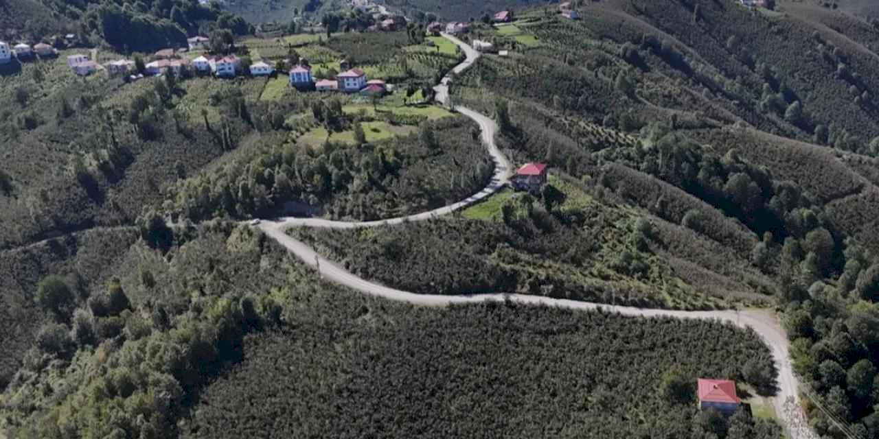 Ordu Gürgentepe’de ulaşım konforu artıyor