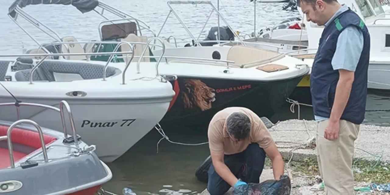 Yalova'da denizi kirleten iki belediyeye 'Çevre' cezası