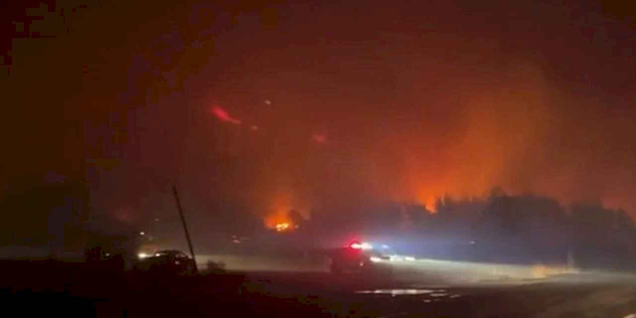 Bursa Karacabey'de orman yangını! Rüzgarın etkisiyle büyüyor