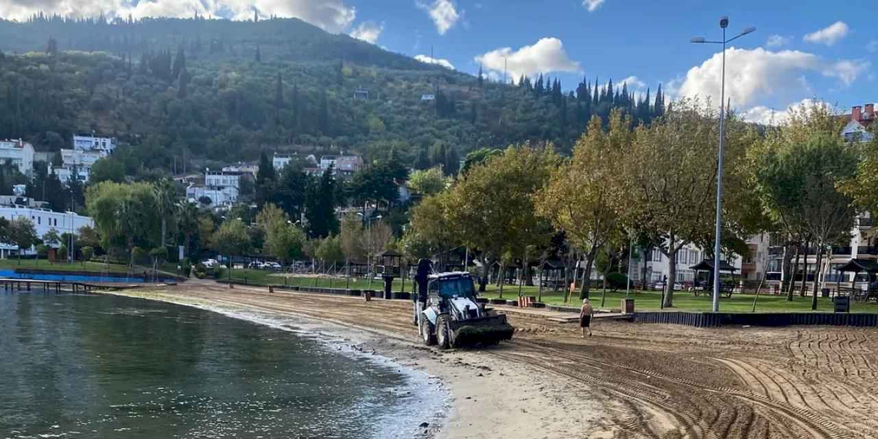 Kocaeli sahillerine Büyükşehir eliyle temiz sezon