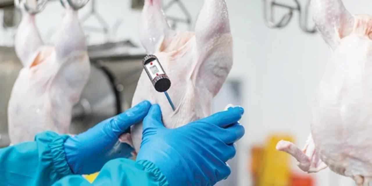 Beyaz et sektöründe rekabet ihlali! 3,7 milyar TL ceza ve sektörel düzenleme