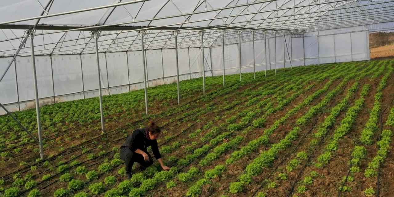 Kocaeli Büyükşehir’den çiftçilere modern sera desteği