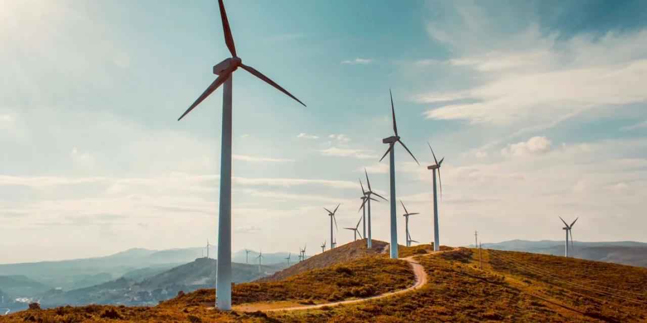Rüzgar enerjisi başvurularına ayar
