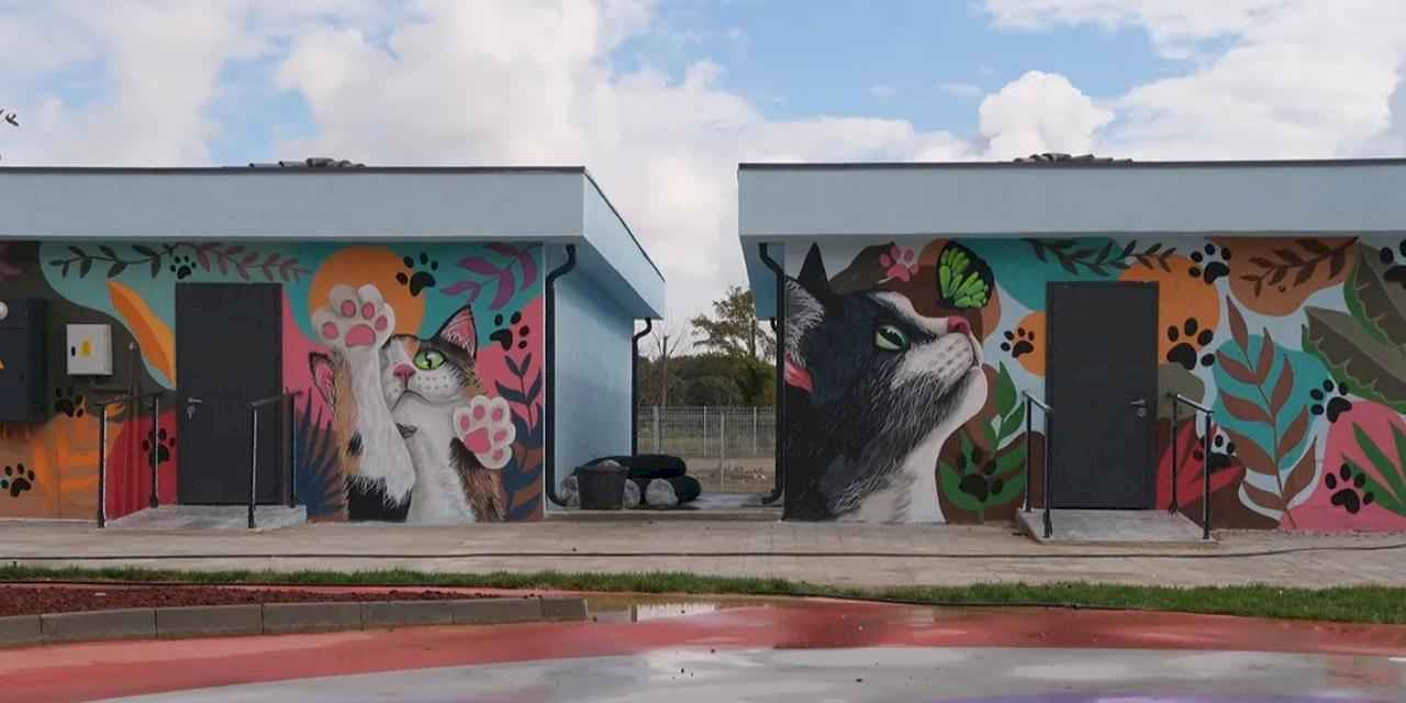 Sakarya'da Doğal Yaşam Kampüsü’ne sanatla dokunuş