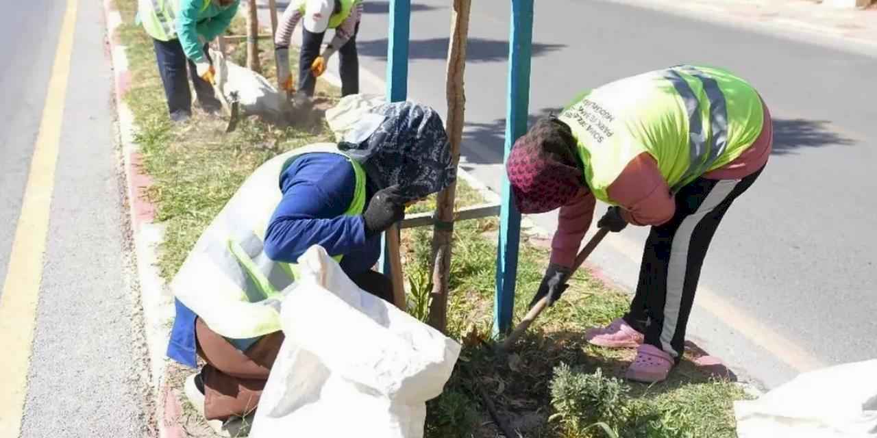 Manisa Soma'nın yolları kadın eliyle şekilleniyor