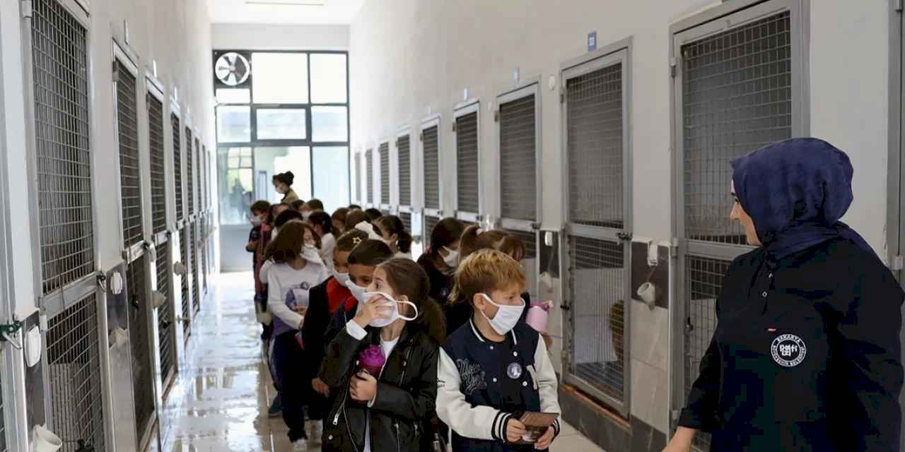 Sakarya'da can dostların yeni dünyasına hayran kaldılar