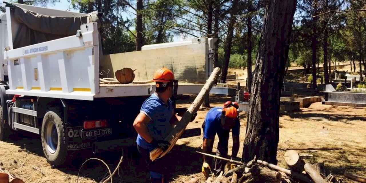 Muğla'da aileleri de ısıtan mezarlıklara bakım