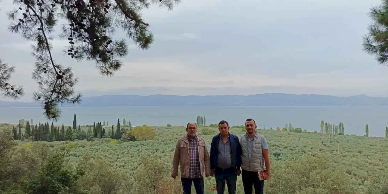 Marmarabirlik’ten 'anıt zeytin ağaçları'na özel marka vizyonu