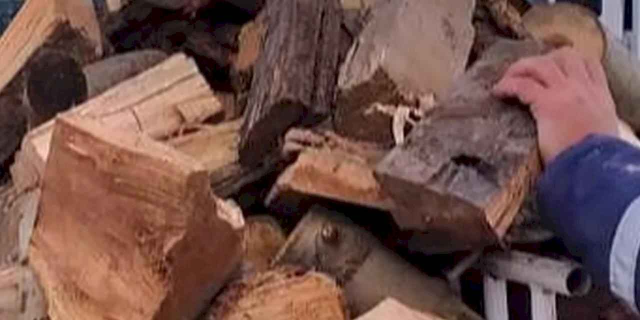 Balıkesir’de kışa destek eli