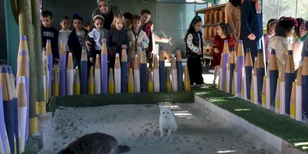 Kayseri Kocasinan'da can dostlar için özel kasaba