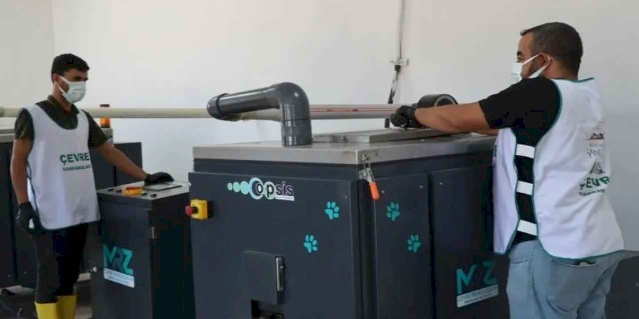 Organik atıklar can dostlara umut oluyor