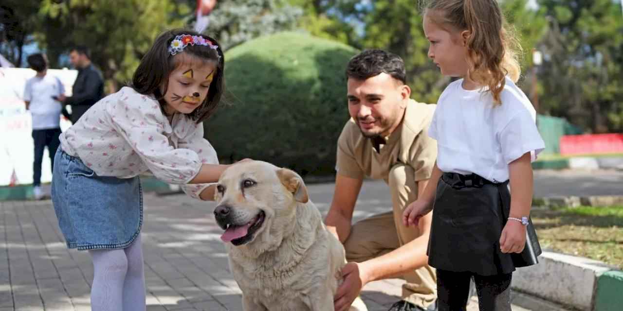 Bursa'da can dostlar Osmangazi korumasında