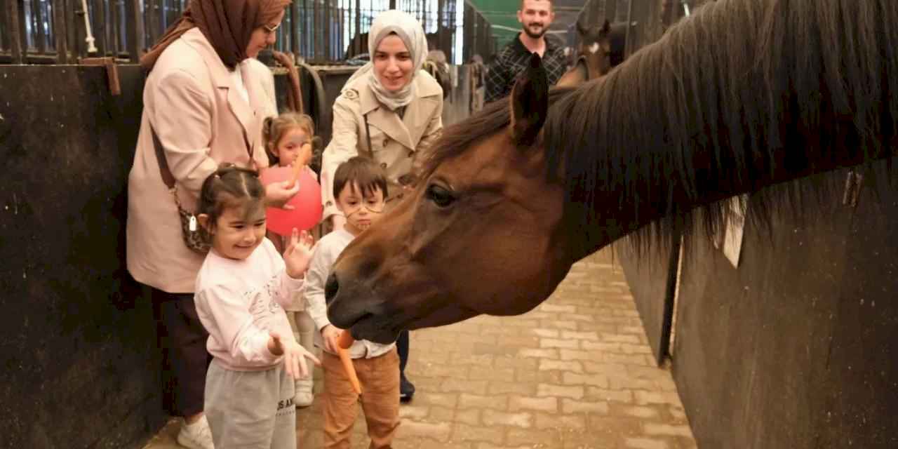 Minikler, Kocaeli'de atlarla buluştu