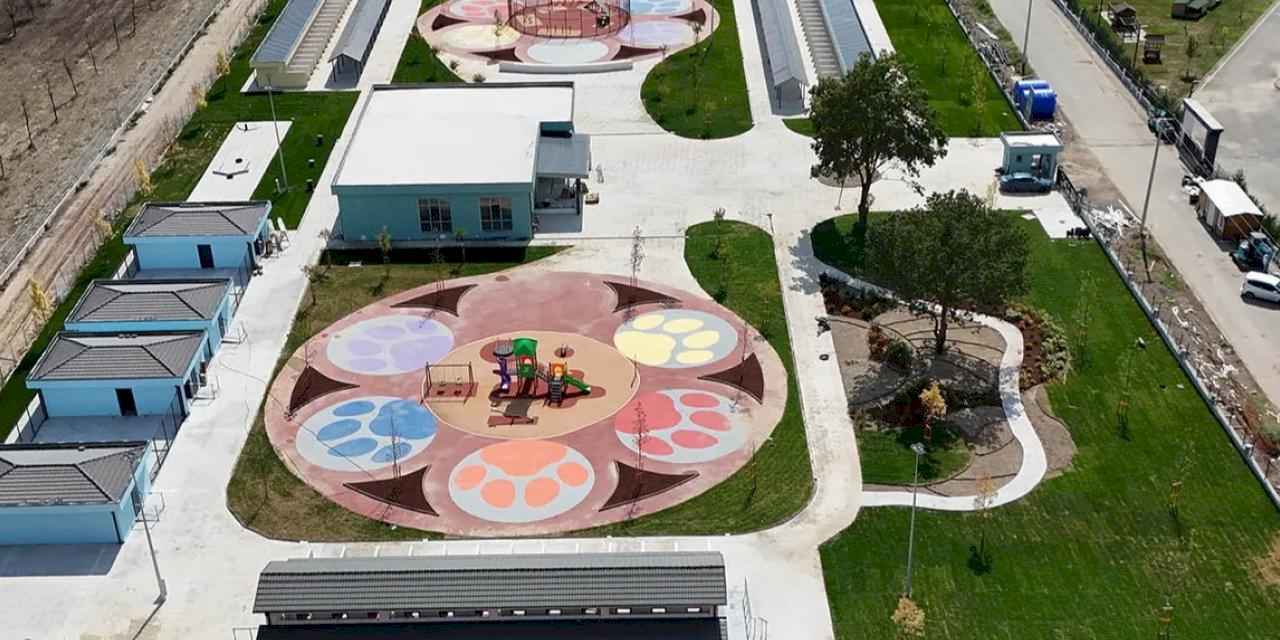 Sakarya’da sokak hayvanlarına güvenli yuva