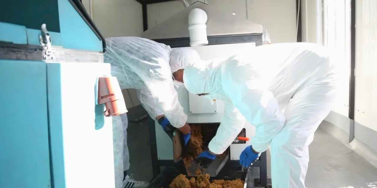 Kayseri Melikgazi yemek atıklarını can dostlarına mama yapıyor